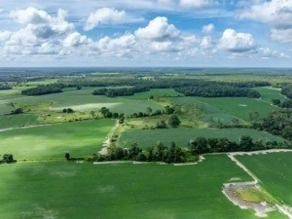 Picture 18