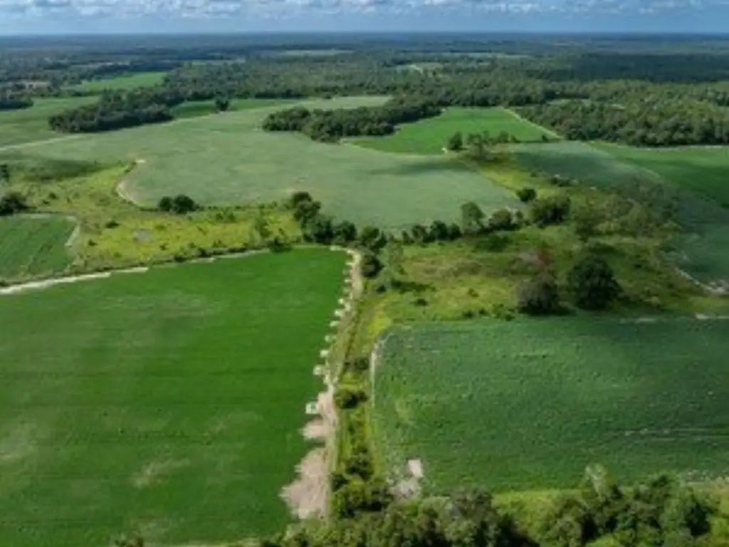 Picture 21
