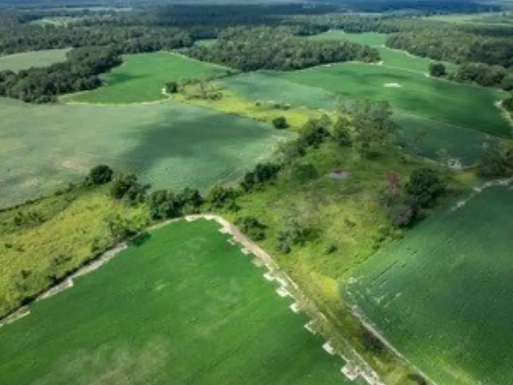 Picture 20