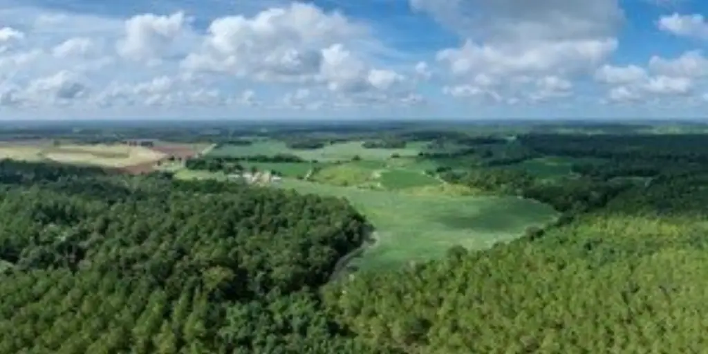 Picture 25