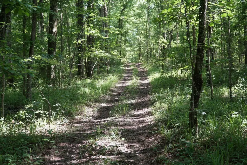 Picture 28