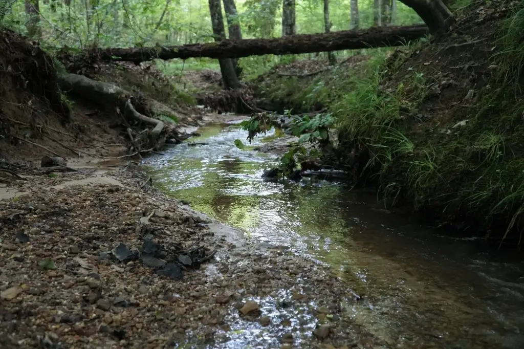 Picture 47