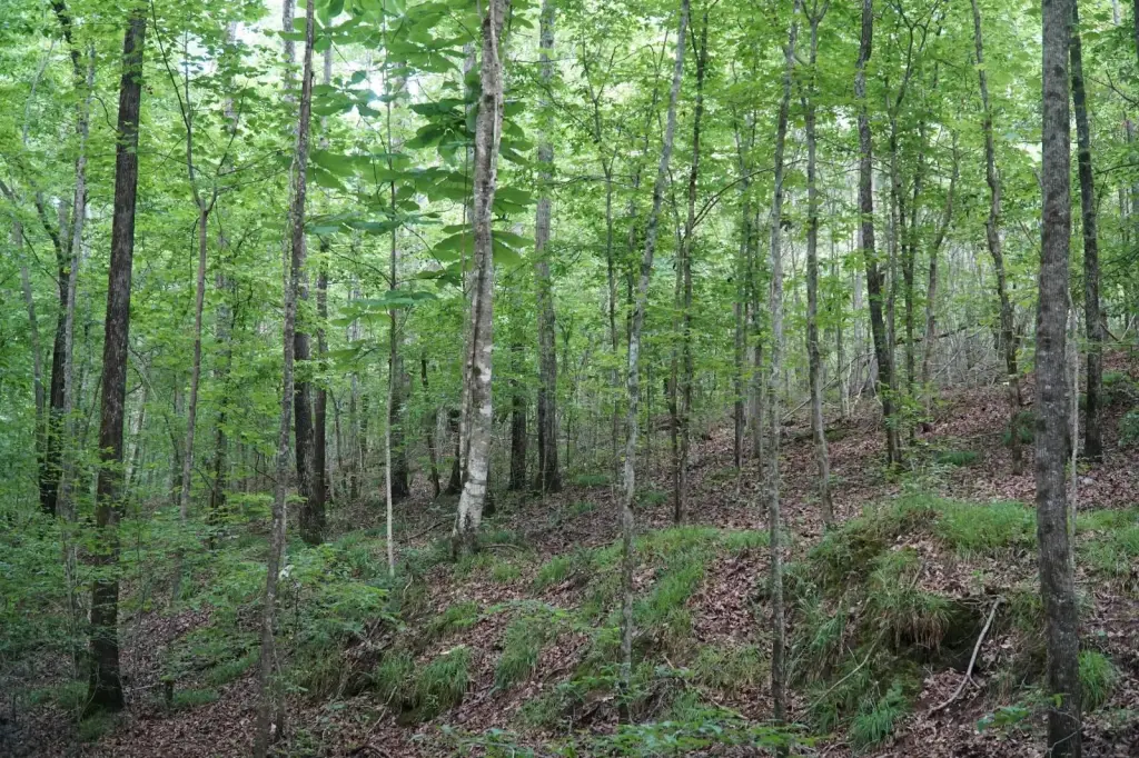 Picture 48