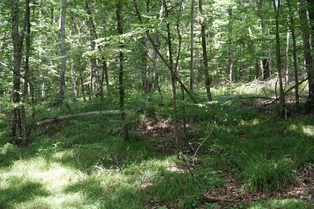 Picture 27