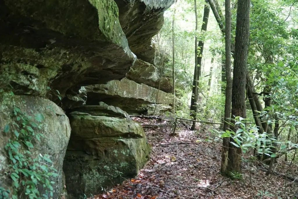 Picture 25