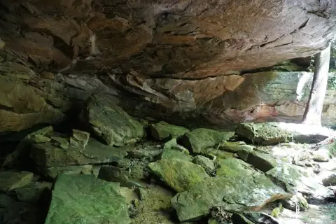 Land with Waterfall and Timber