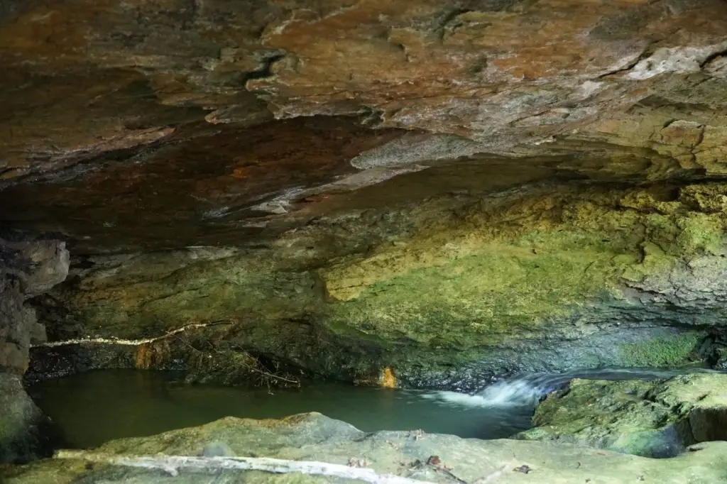 Picture 15