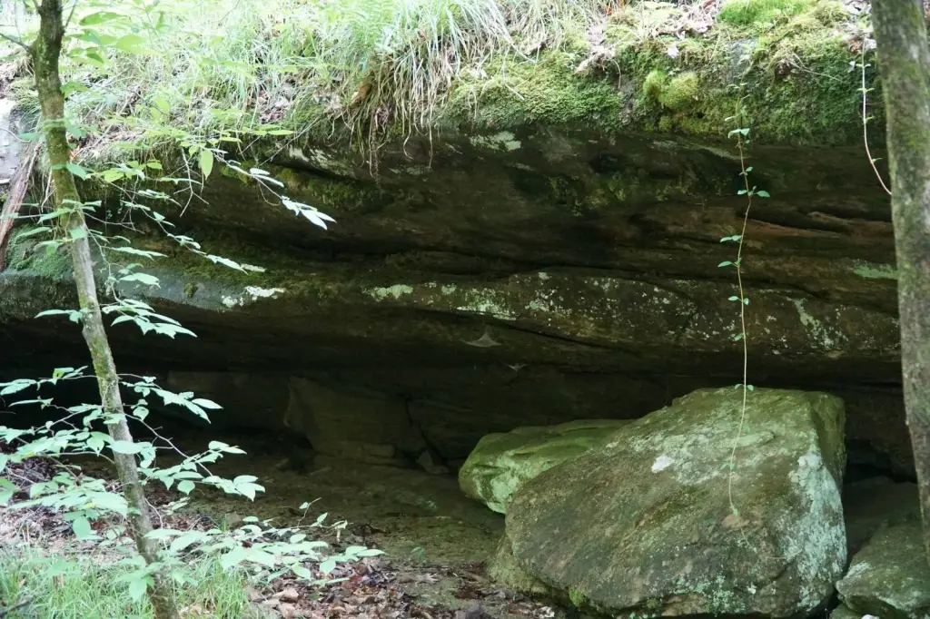 Picture 9