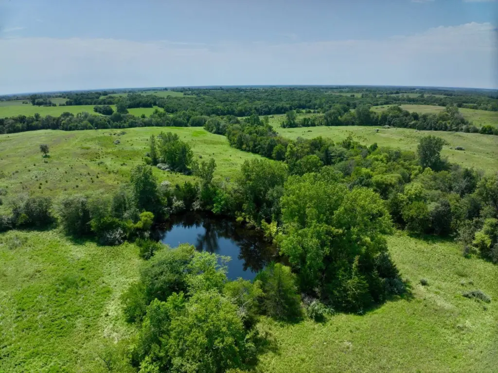 Picture 15