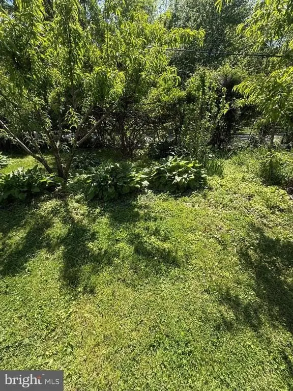 Picture 25