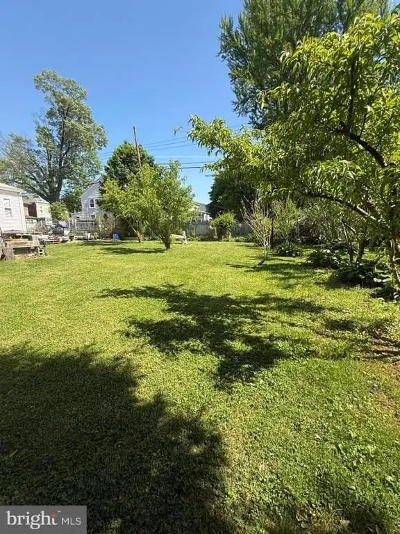 Picture 20