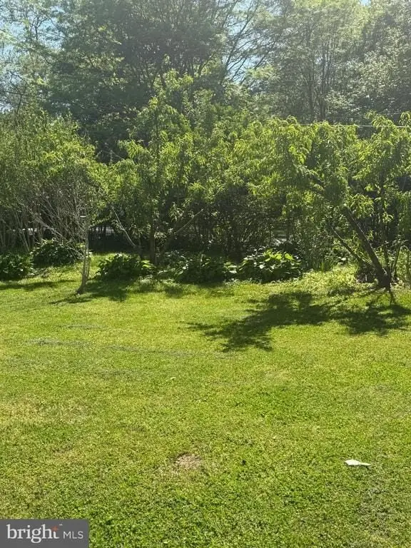 Picture 23