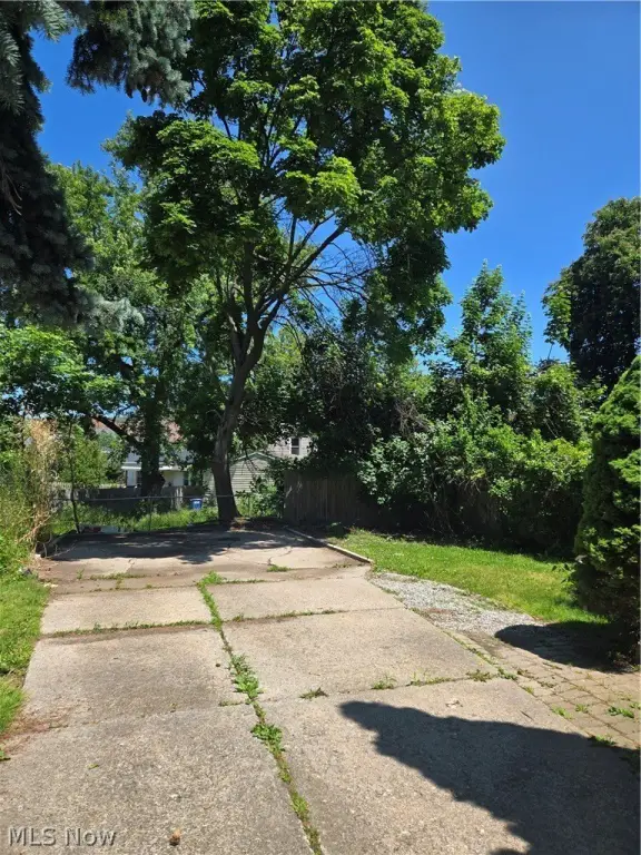 Picture 17