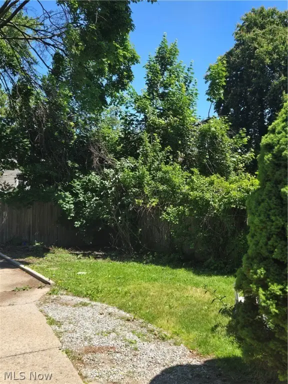 Picture 18
