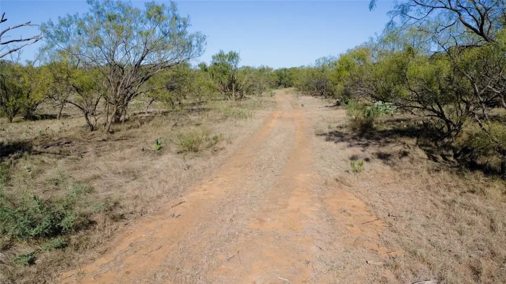 Picture 25