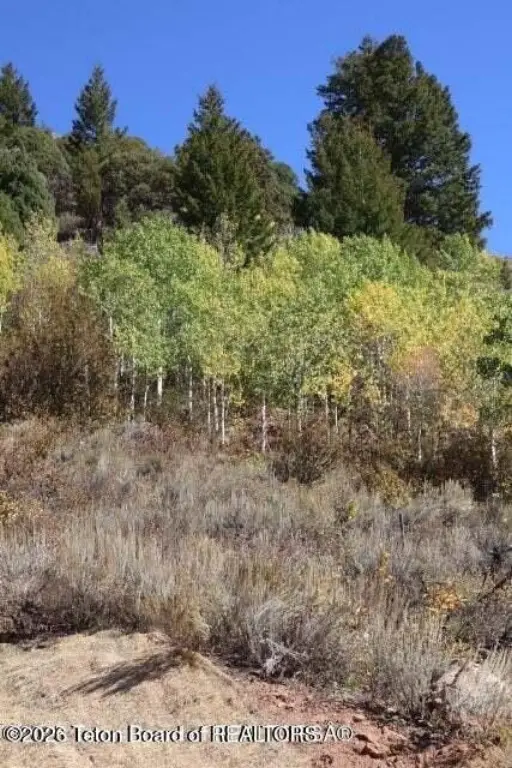 Picture 18