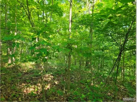 Ellington, MO Recreational Land