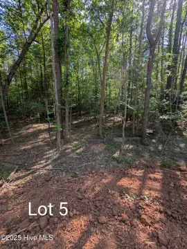 Wooded Homesite in Quiet Area