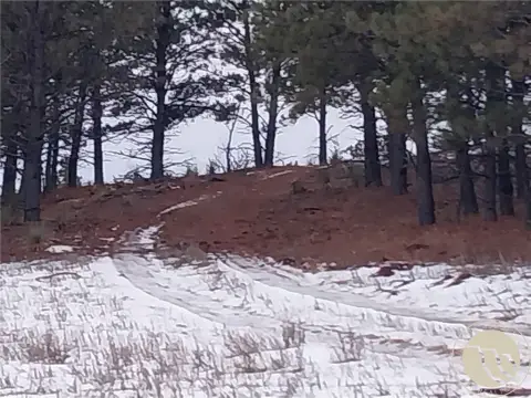 Ashland Timbered Land For Sale