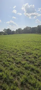 Land Overlooking Washington Lake