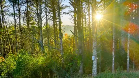 Wooded Lot with View Potential