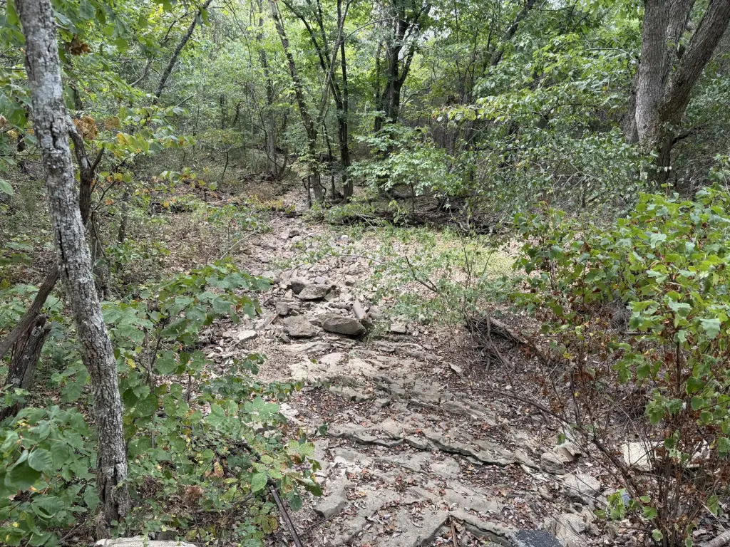Picture 11