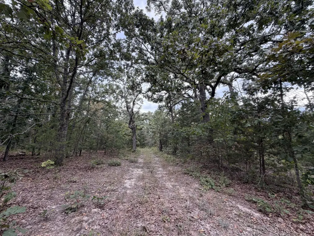 Picture 14