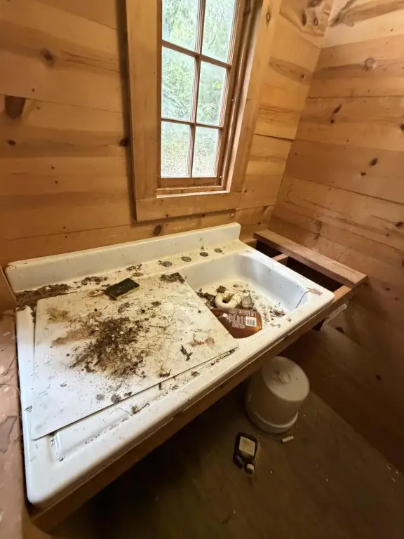 Picture 28