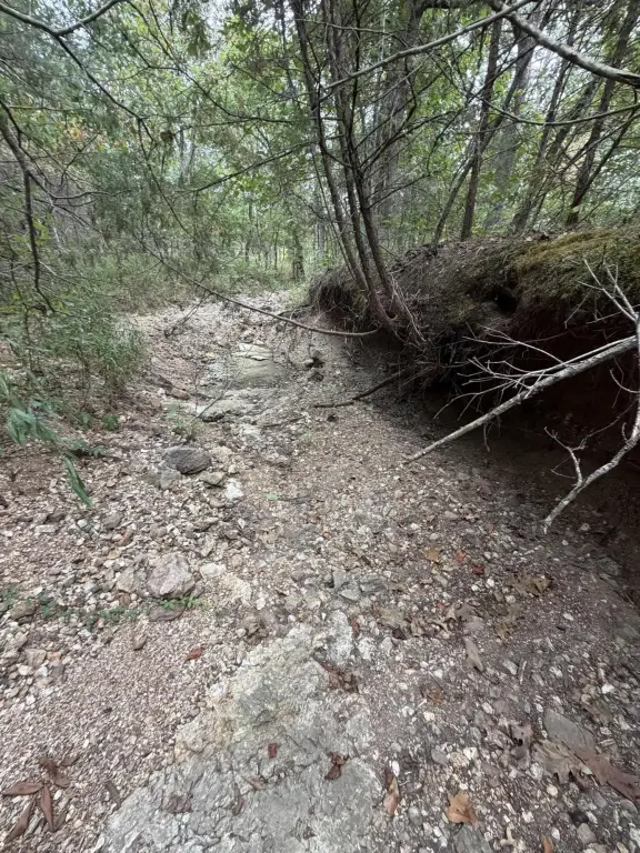 Picture 38