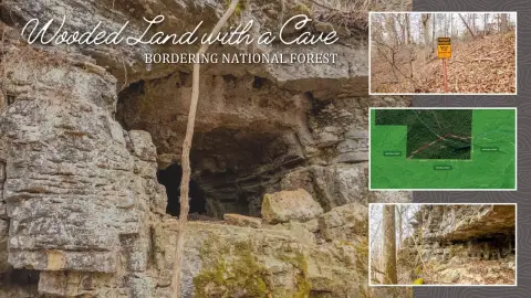 Wooded Hunting Land with Creek Bluffs