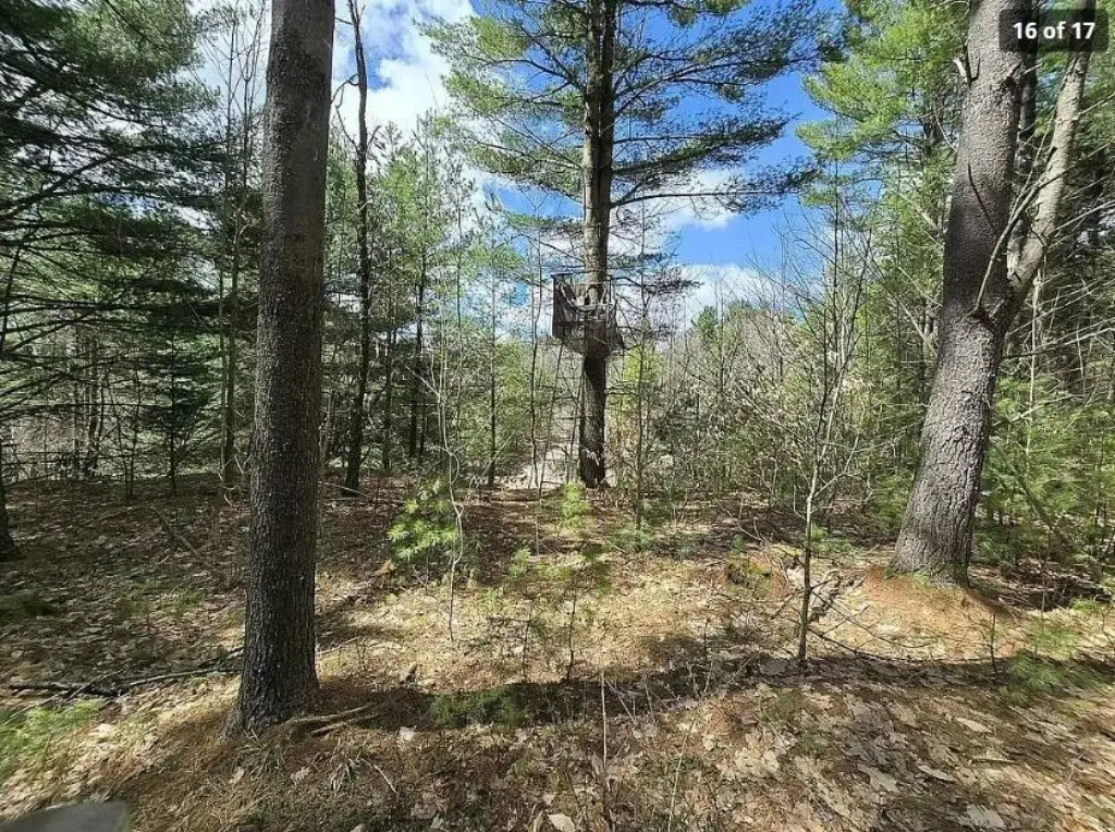 Picture 2
