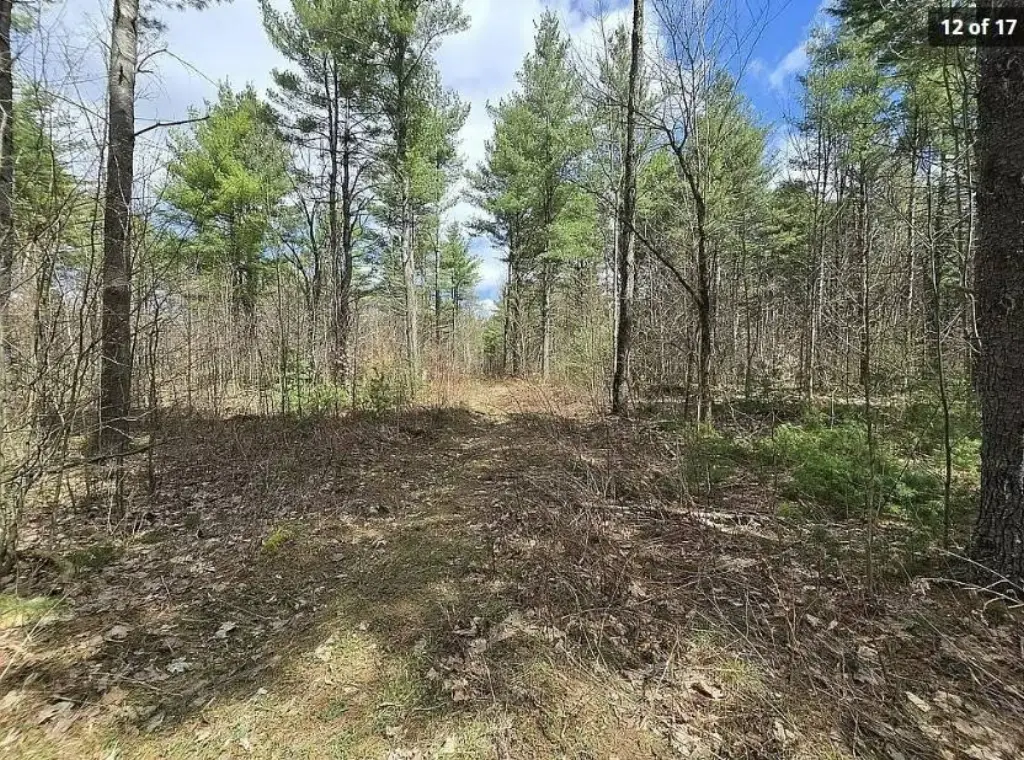 Picture 6