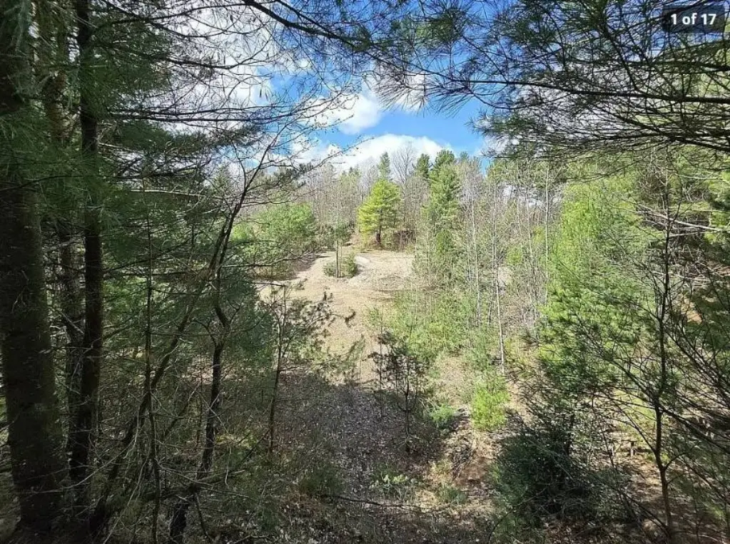 Picture 17