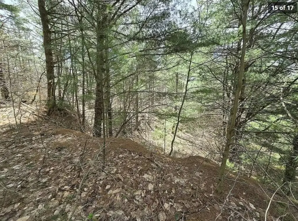 Picture 3