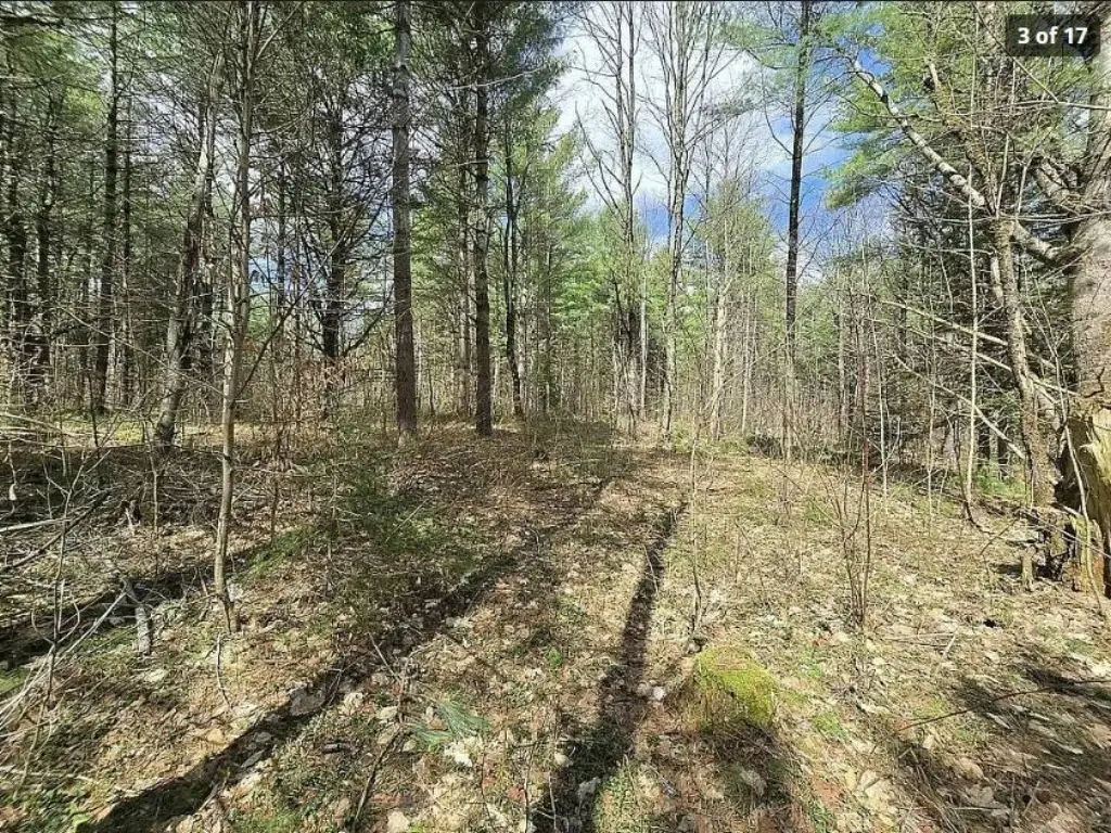 Picture 15