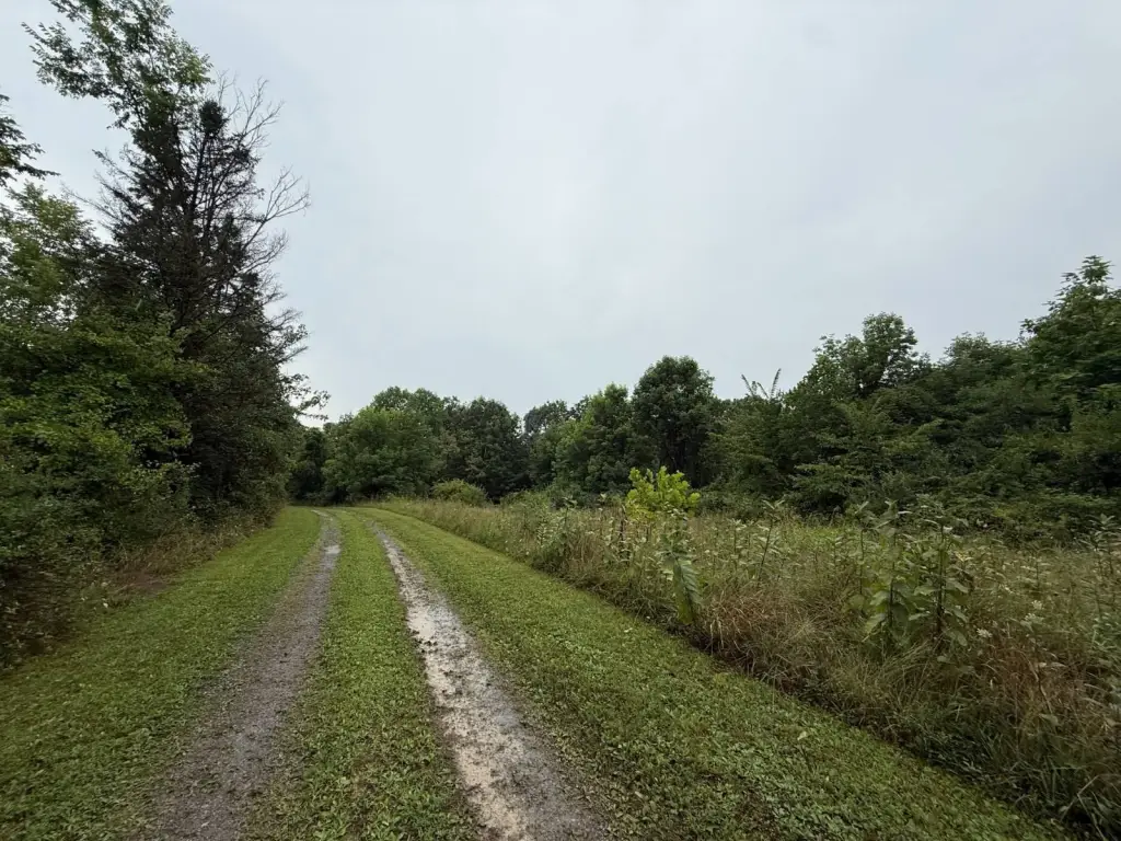 Picture 10