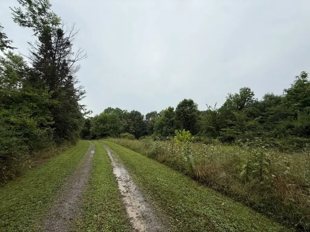 Picture 11
