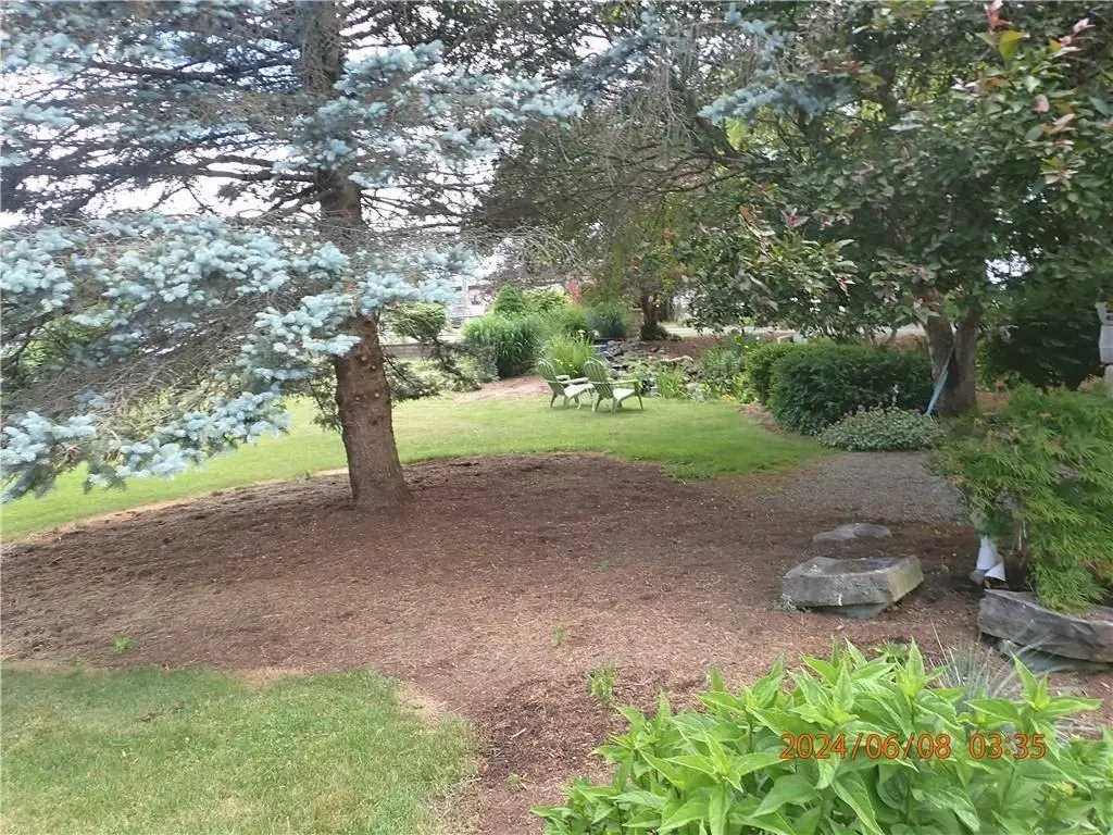 Picture 11
