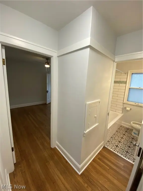 Picture 41