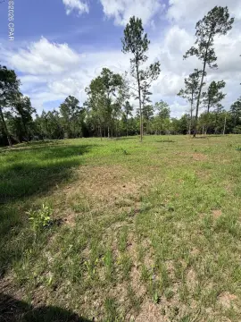 30 Acres of Florida Land