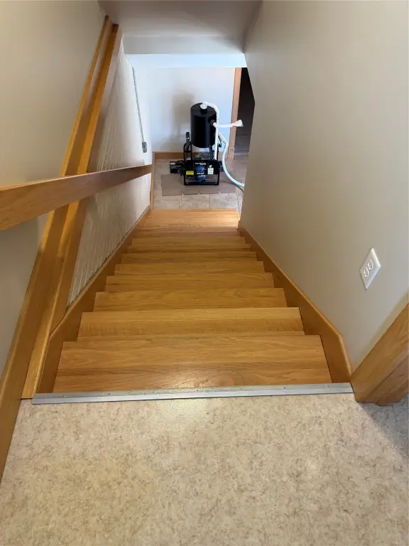 Picture 17