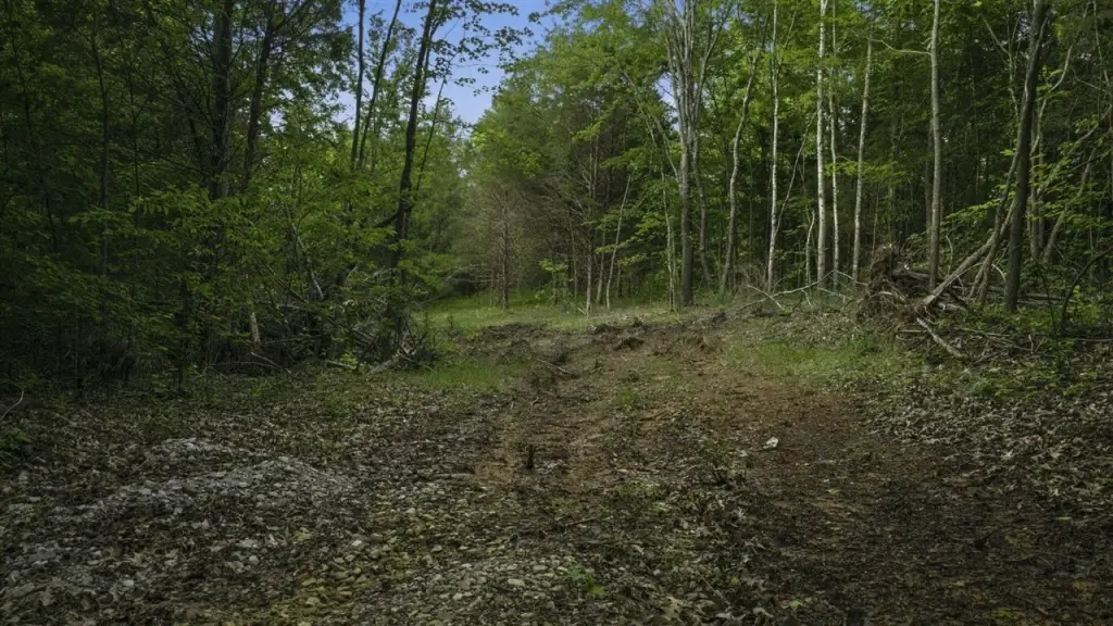 Picture 3