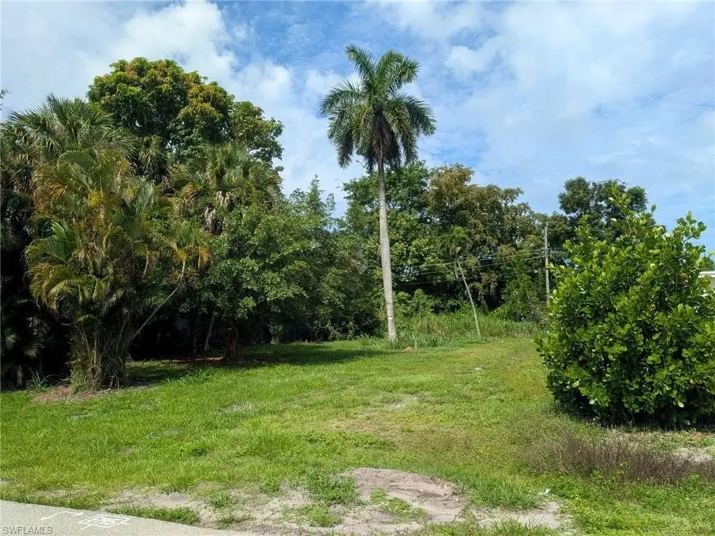 Picture 6