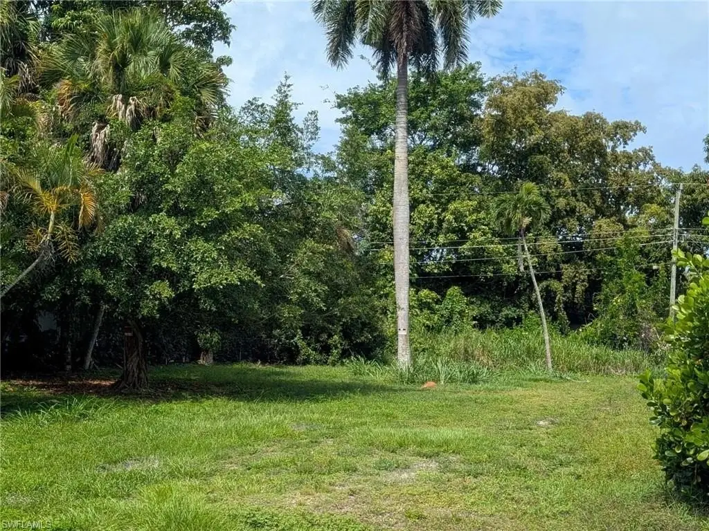 Picture 7
