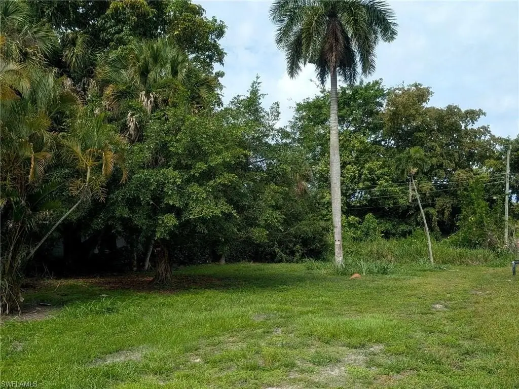 Picture 5