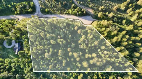 Wooded Homesite with Utilities
