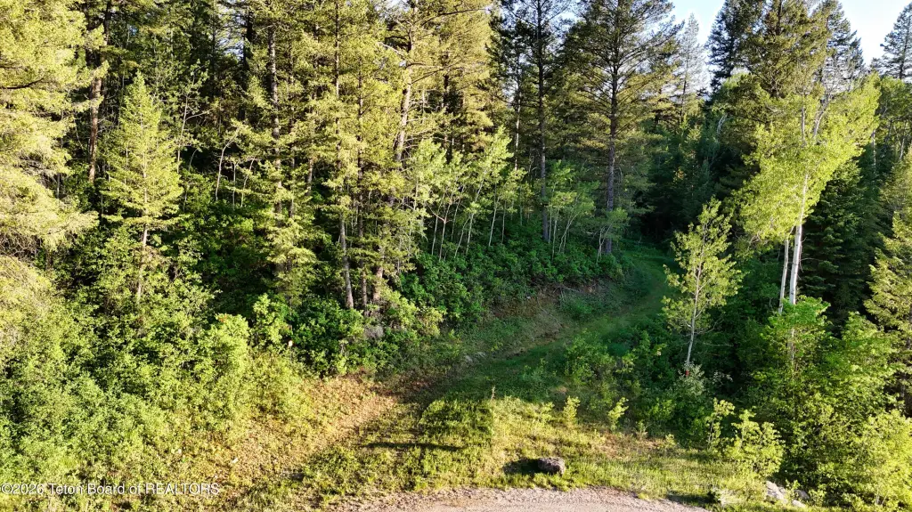 Picture 19
