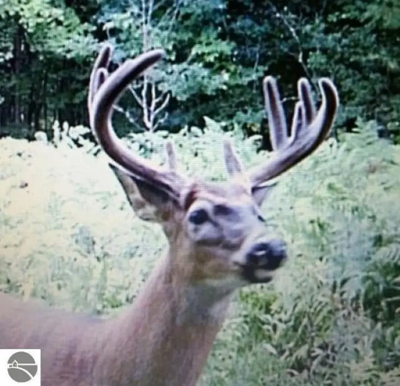 Picture 12