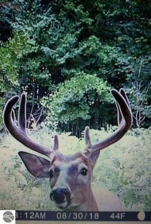 Picture 13