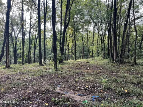 Residential Land in Bedford, KY